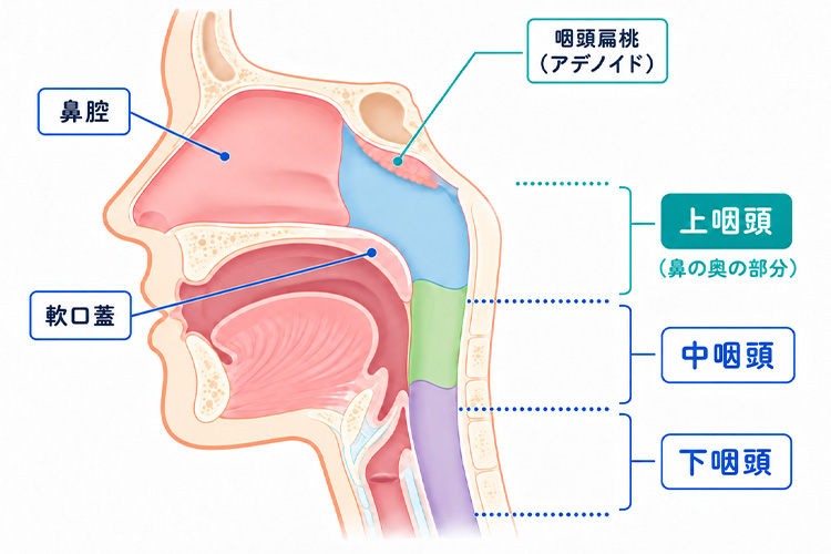 基礎①