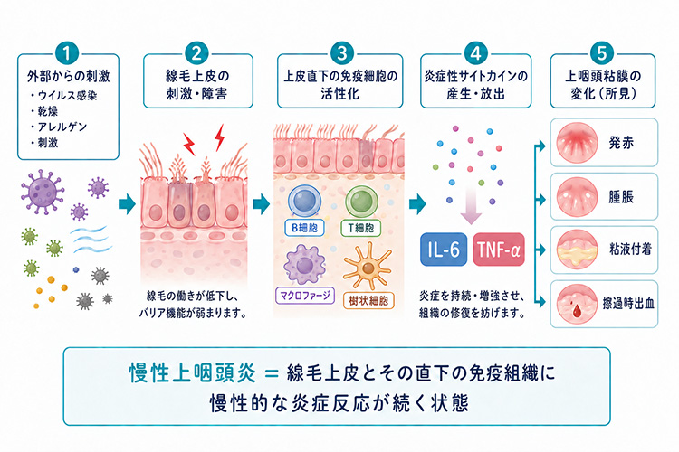 基礎③